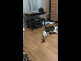 Vid 20180328 212212 mp4