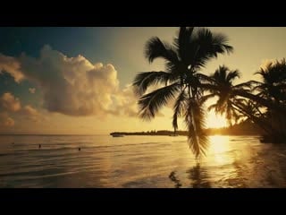 Tropical beach sunrise 4k video afterlife dub in ya mind (beach club mix)