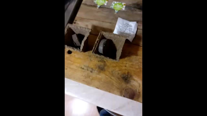 Буду сажать семена
