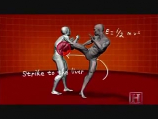 Human weapon savate techniques