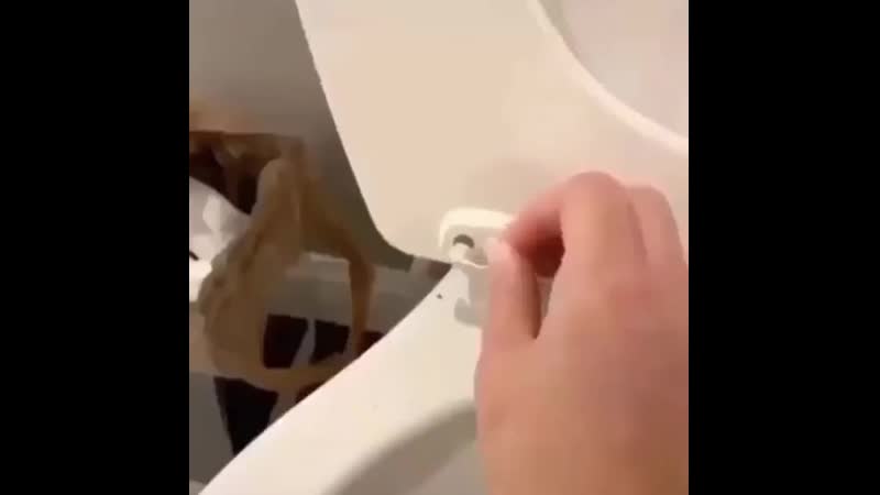 Explosive diarrhea перевод взрывной понос