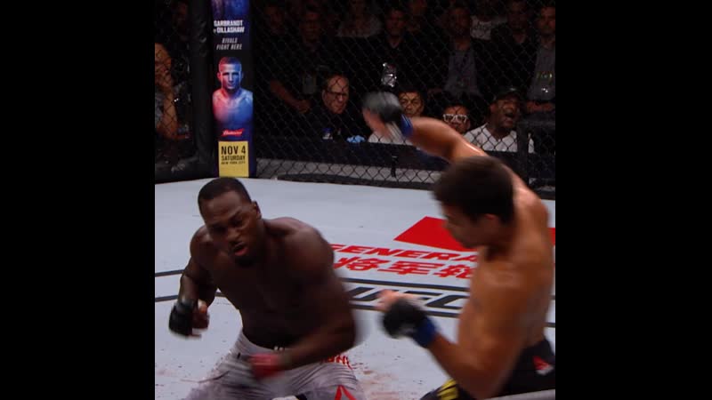 Дерек брансон жестко нокаутирует лиото мачиду