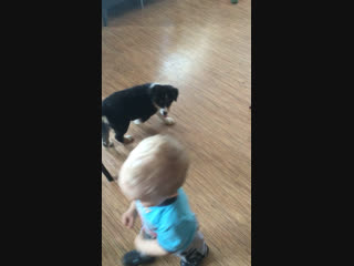 Chaliz for froland (acя)