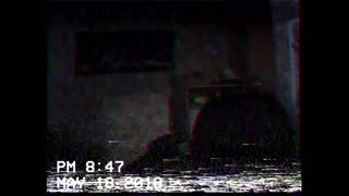 Ha1zer Net Hd Videos
