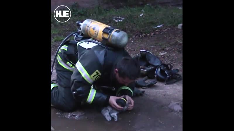 На тверском пожаре спасли задохнувшегося котика