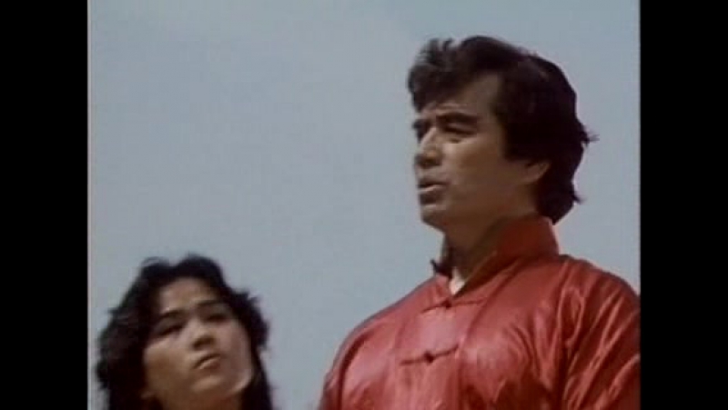 Бесстрашная гиена 3 / fearless hyena 3 (1980)