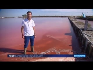 Eclae récolte de la dunaliella salina sur le salin daigues mortes jt 20h france 3