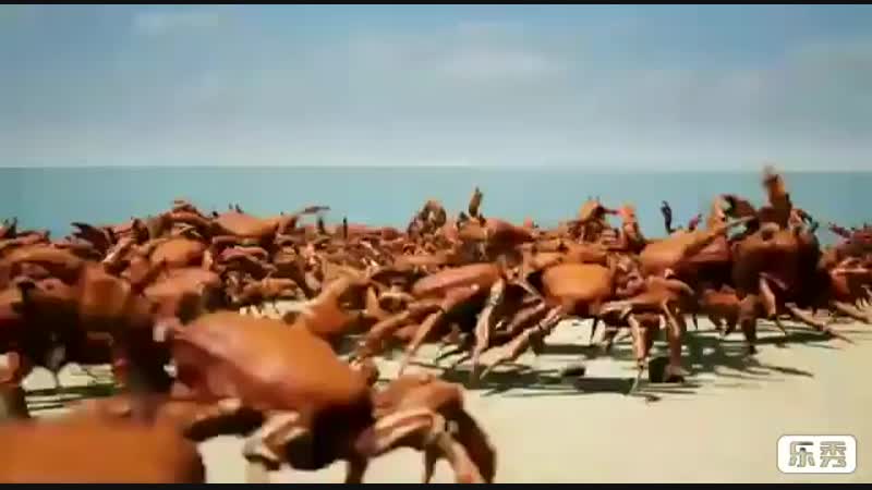 Ебанутые крабы