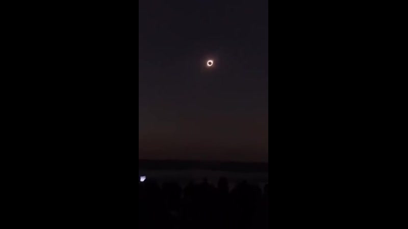 В сети поделились видео полного солнечного затмения его наблюдали в аргентине и чили пользователи соцсетей делятся видео и фо