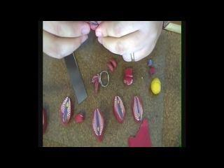 Tutorial polymer clay red stripes petals millefiori cane murrina diy