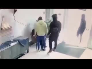 Footage of #dababy pushing a hotel worker at the beverly hills hotel surfaces