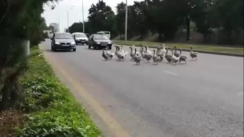 Нарушители