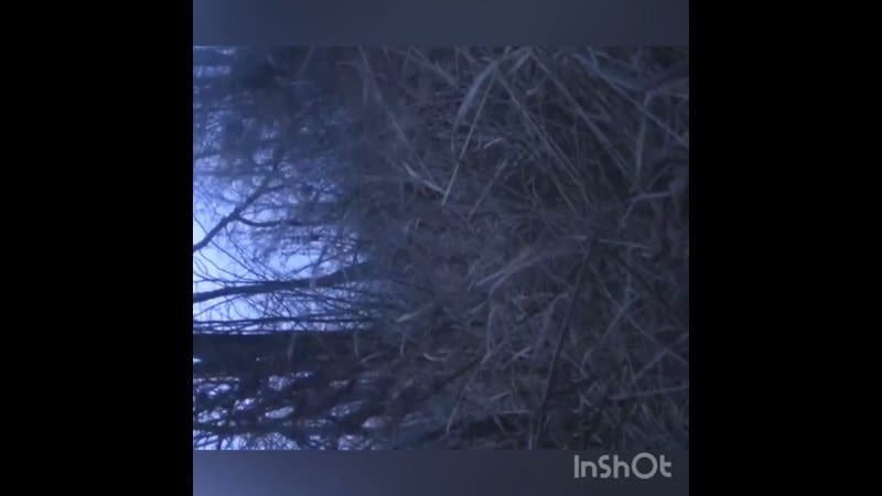 Украинские диверсанты пытались проникнуть в горлоу, чтобы подорвать ёмкость с хлором