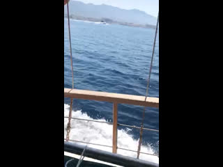 Красиво жить не запретишь