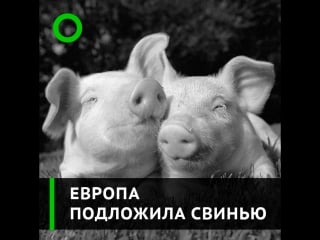 Европа подложила свинью