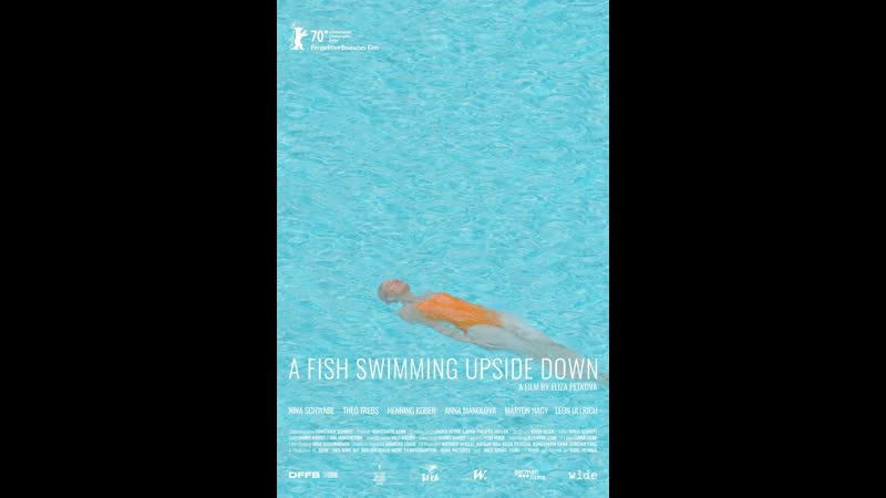 Рыба, плавающая брюхом вверх ein fisch, der auf dem rücken schwimmt (2020) германия