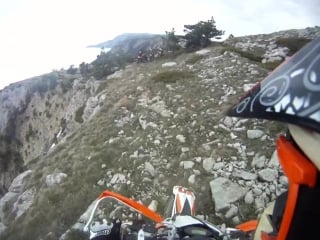 Тренироа очковая кобра