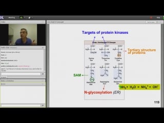 6th lecture kaplan step 1 ca biochemistry medical genetics turco jan 12, 2014