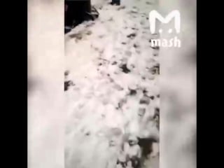 Дагестанцы унизили одноклассницу