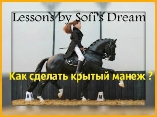 Lessons by sofi's dream крытый манеж how to make for breyer