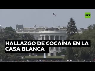 Hunter biden visitó la casa blanca antes de que se encontrara allí cocaína