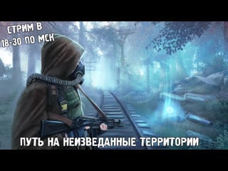 Вечерний стримчик 333