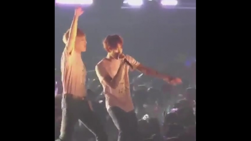 Великолепные походки бэкминов