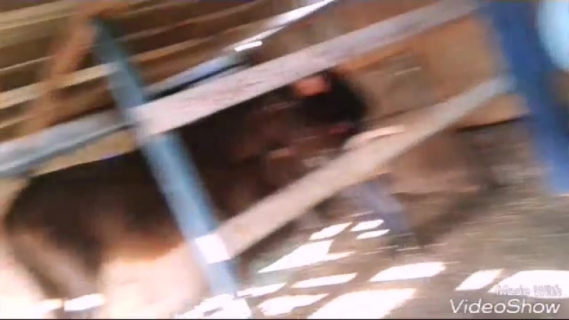 Vlog трыщ пыщ