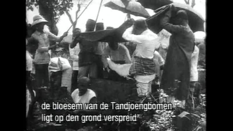 Moeder dao, de schildpadgelijkende (netherlands, 1995) dir vincent monnikendam