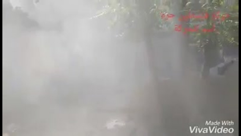 Палестинцы из "al aqsa shield forces" и саа в боях за ярмук