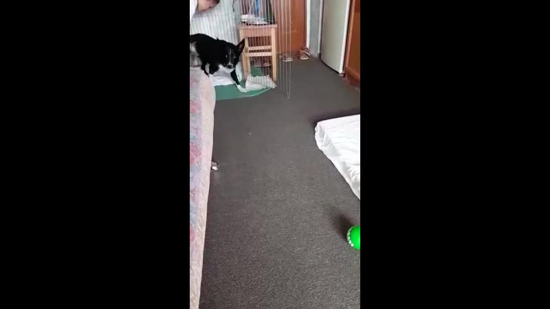 Кнопка встаём и меняем трусики