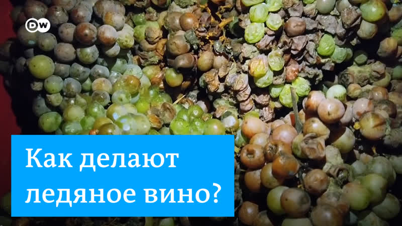 Вино из замороженного винограда