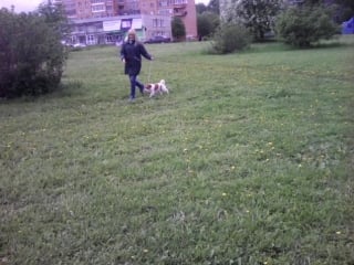 Trim 20180603 211102 mp4