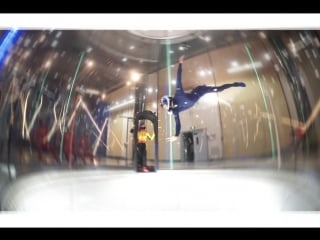 Combination with poses bumblebee, dragonfly, stick insect (leo chinese team)