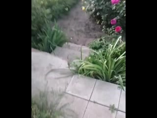 Podslushano tambov ll 20190825 0003 mp4