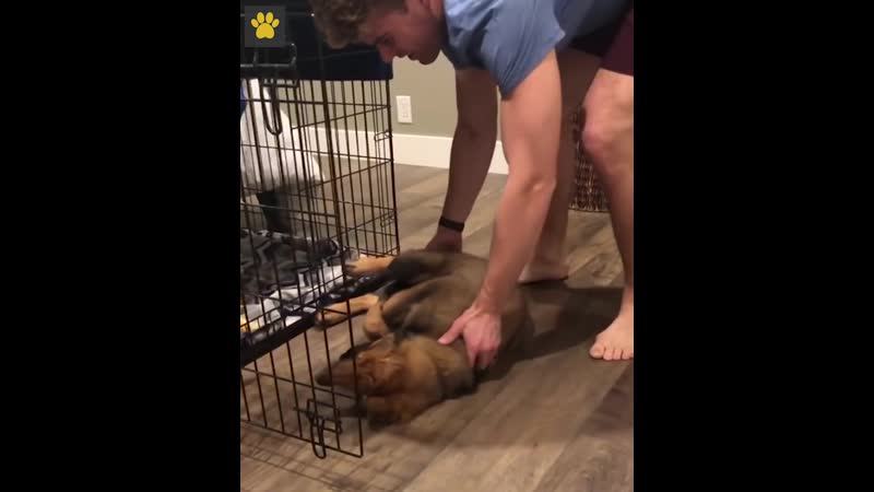 Прогулка удалась