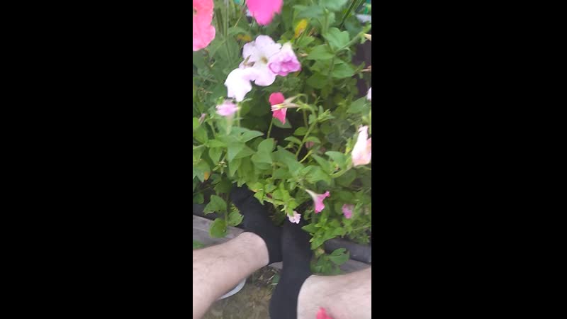 Рамиль моней сказка о твоем рабстве