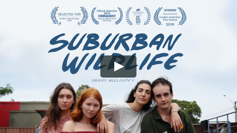 Дикая жизнь в пригороде (2019) suburban wildlife