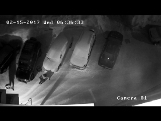 Новосибирец расстрелял свою соседку на паркое