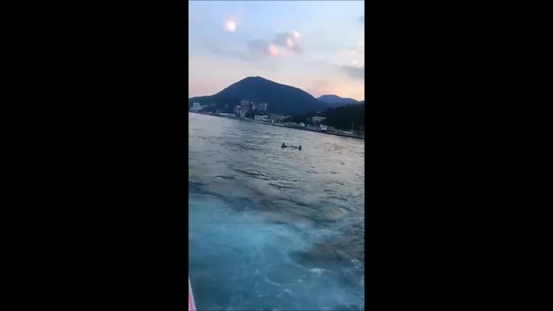 18+ попал под винт катера