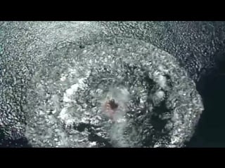 Girls fail in bikinis from the jukinvideo vault