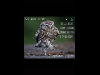 Tiktokvideo 2c2fdww mp4