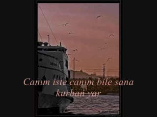 Canım iste canım bile sana feda yâr