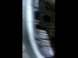 Vid 20200203 162355 mp4