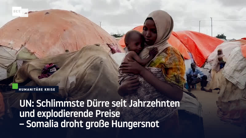 Un schlimmste dürre seit jahrzehnten und explodierende preise – somalia droht grosse hungersnot