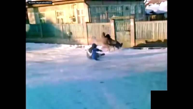 Выбил ворота на санках | старый румынский прикол))