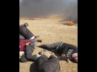 13 info the great return march yang akan membuatkan kita merenung panjang