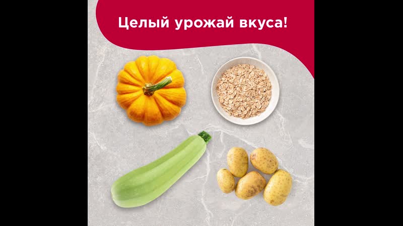 Овсянка в котлеты