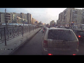 Борзые на дороге