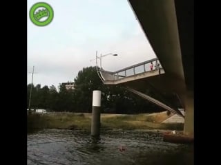 Meisjes doen brugjumpen